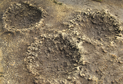 An example of shell craters on the battlefield