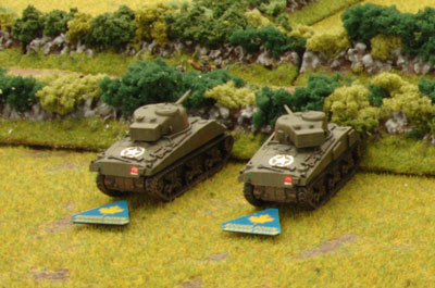 Bogged Down Shermans