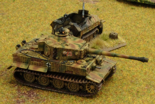 Tiger