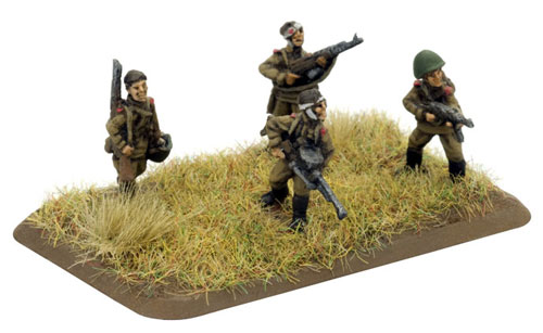 Battle Hardened Rifle/MG team
