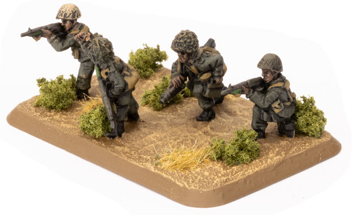 Mechanised Infantry Platoon (TIR702) Mechanised Infantry Platoon (TIR702)
