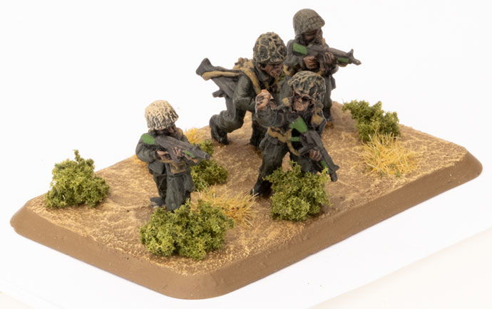 Mechanised Infantry Platoon (TIR702)