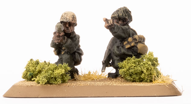 Mechanised Infantry Platoon (TIR702)
