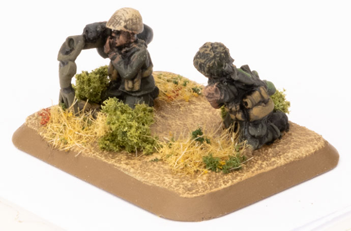 Mechanised Infantry Platoon (TIR702) Mechanised Infantry Platoon (TIR702)