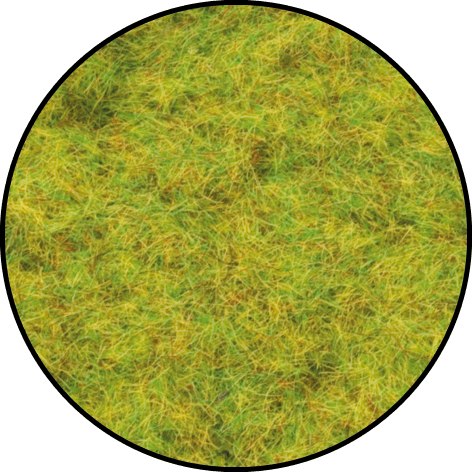 Cratered Cobblestone Roads (BB142)