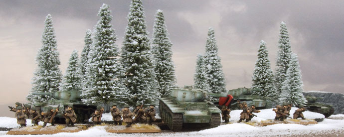 Small Pine Wood: Winter (BB145)