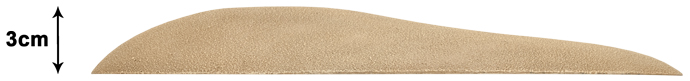 Large Dune (BB221)