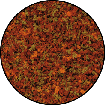 Large Autumn Wood (BB552)