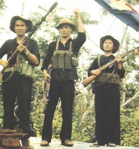 Vietnamese Guerrilla fighters armed with various small arms including a SKS carbine