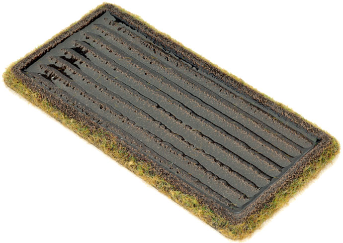 Paddy Fields (BB170)
