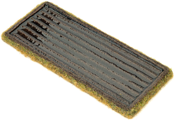 Paddy Fields (BB170)