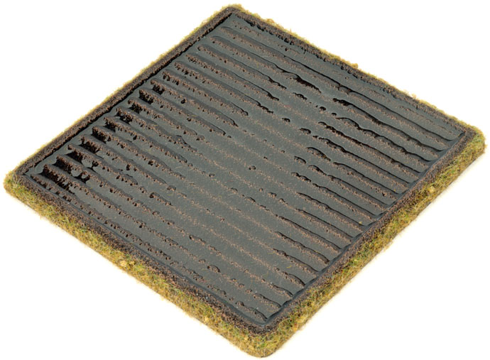 Paddy Fields (BB170)