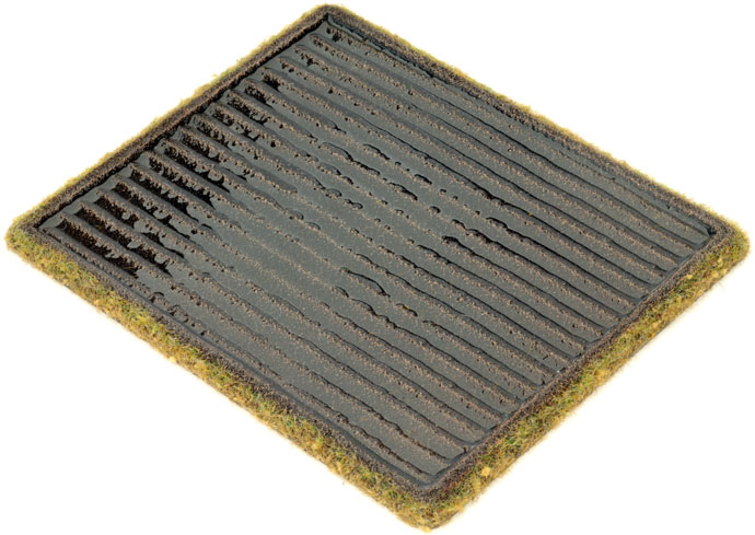 Paddy Fields (BB170)