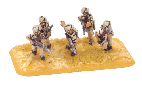 Rifle Platoon (Indian) (BR782)