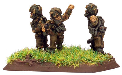 Command team