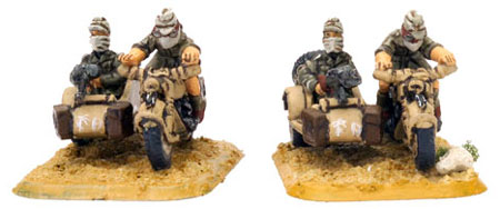 BMW & Sidecar (Afrika)