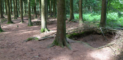 The Ardennes Battlefield Revisited: Part Two