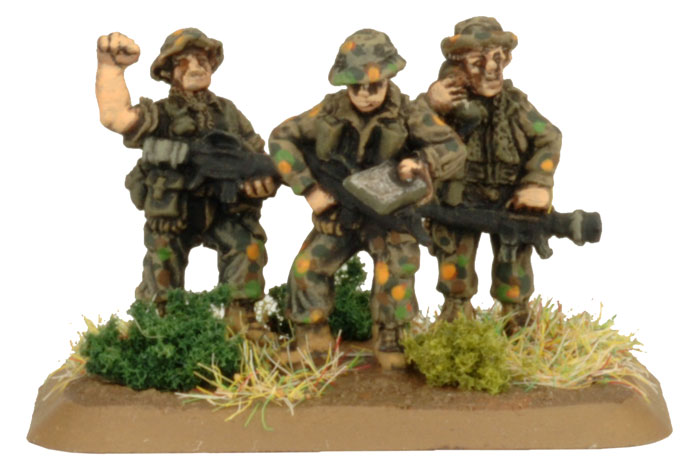 Mechanised Platoon (TAU702)